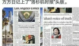 关于方方日记的最新爆料,揭秘背后真相与争议